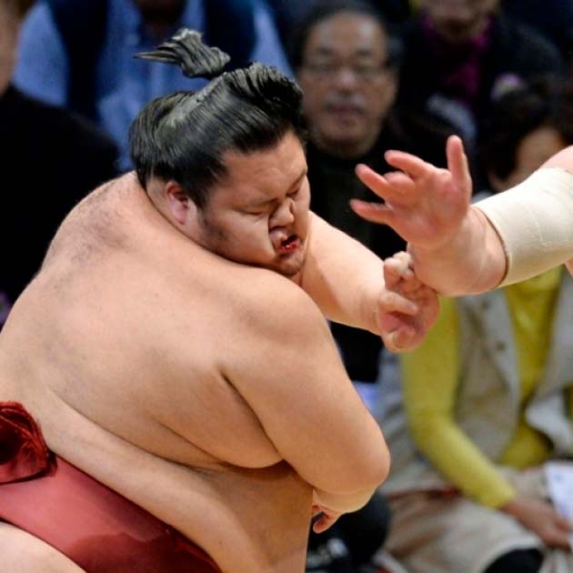 Sumo